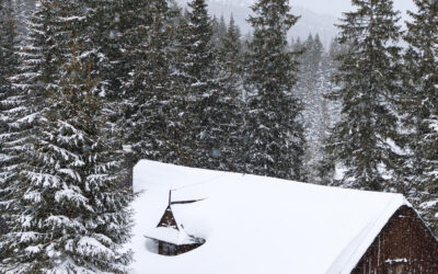 5 Reasons to Schedule a Post-Snowstorm Roof Inspection