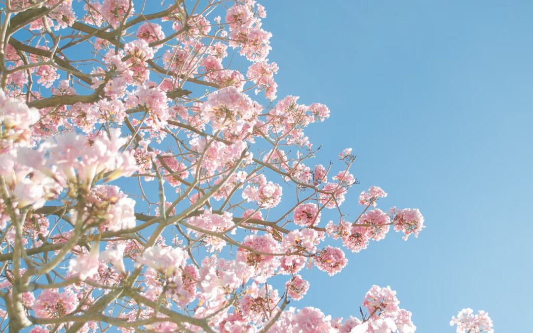 5 Reasons to Schedule a Spring Roof Inspection After a Storm